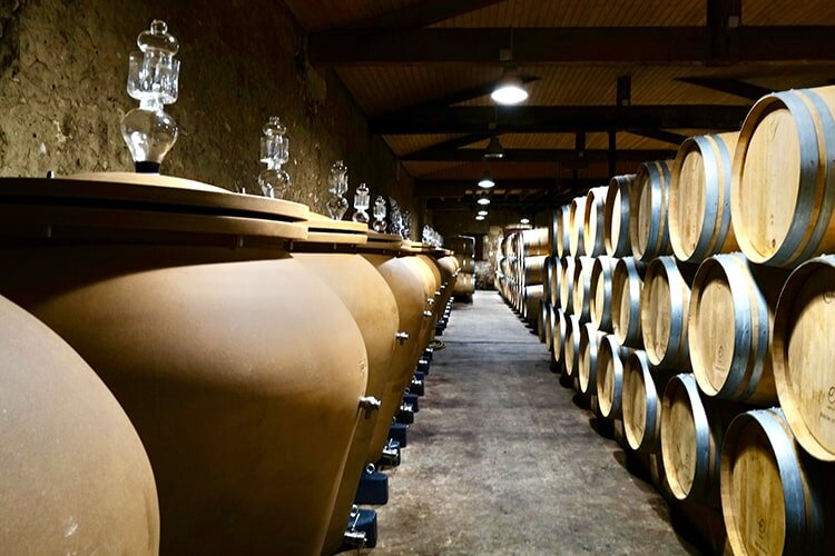 Château Anthonic Weinkeller