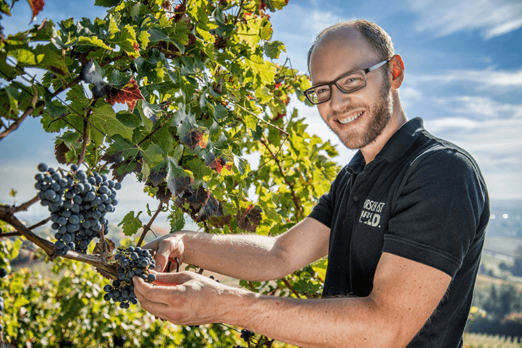 Weingut Christian Hirsch Winzer