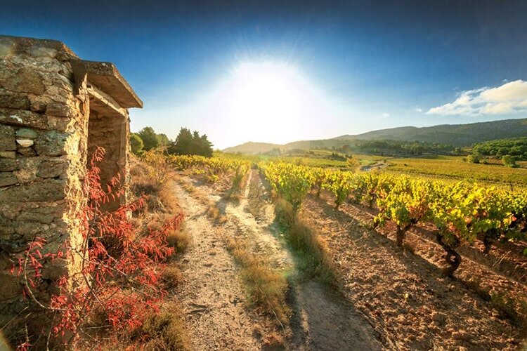 Domaine Py Weinberg