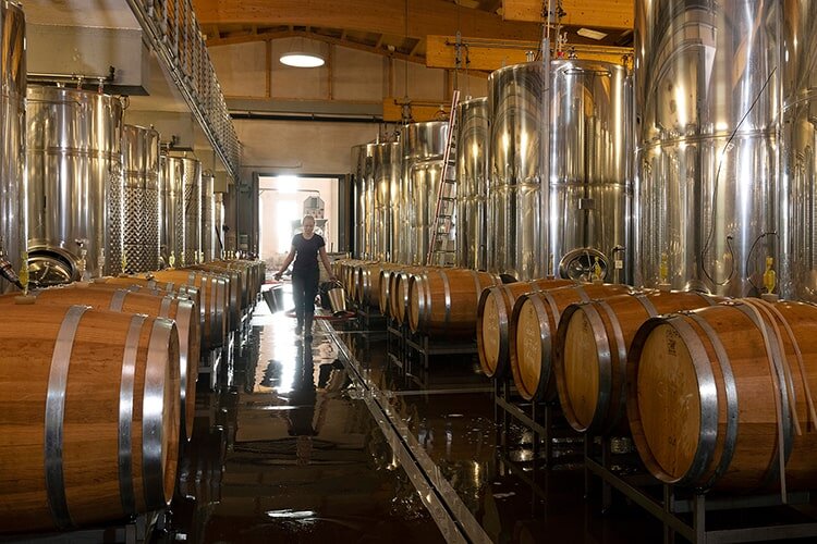Weingut Gmeinböck Weinkeller