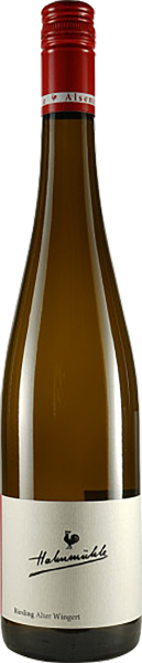 Riesling Alter Wingert QbA trocken
